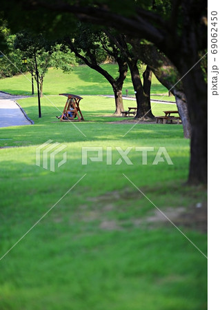 夏 公園 芝生 69062450