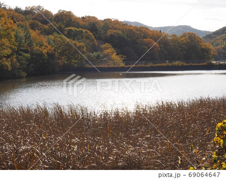 播磨テクノライン横の姥ヶ池と里山の紅葉 69064647