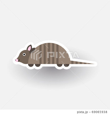 Happy Armadillo cartoon character Happy Armadillo cartoon character 69065938