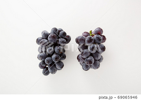 ぶどう ブドウ 葡萄 ニューピオーネ ぶどう ブドウ 葡萄 ニューピオーネ 69065946