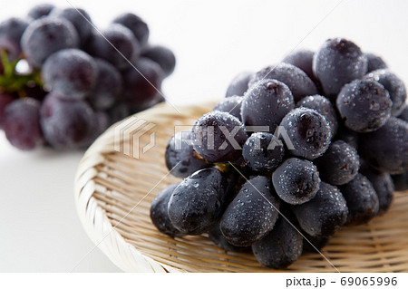 ぶどう ブドウ 葡萄 ニューピオーネ ぶどう ブドウ 葡萄 ニューピオーネ 69065996