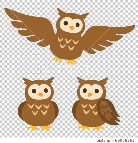 Owl Illustration Set Stock Illustration
