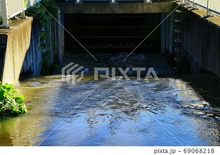 令和元年東日本台風の水害を抑えた首都圏外郭放水路 69068218