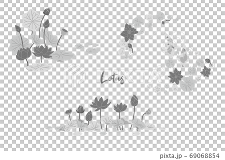 蓮の花のイラストセット 69068854