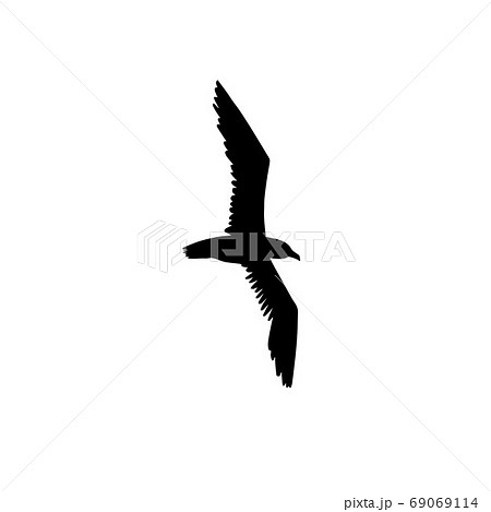 Vector black sketch flying seagull silhouette Vector black sketch flying seagull silhouette 69069114