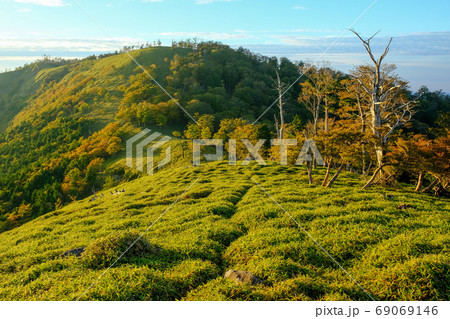 北大台ヶ原の紅葉(奈良県吉野郡上北山村) 北大台ヶ原の紅葉(奈良県吉野郡上北山村) 69069146