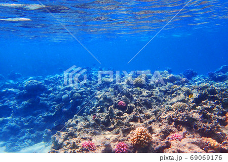 coral reef in egypt 69069176