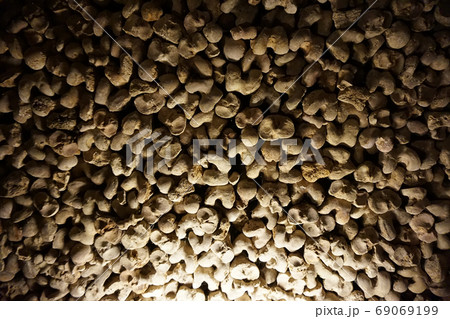 Human bones and skulls as pirate texture Human bones and skulls as pirate texture 69069199