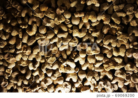 Human bones and skulls as pirate texture 69069200