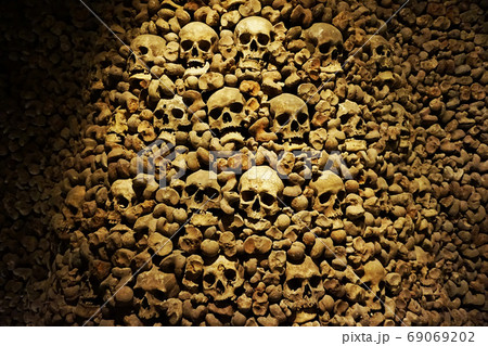 Human bones and skulls as pirate texture Human bones and skulls as pirate texture 69069202