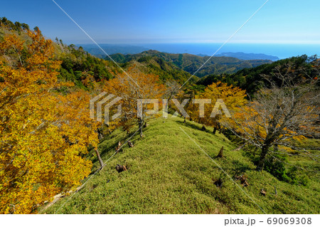 秋の大台ケ原（奈良県吉野郡上北山村） 69069308
