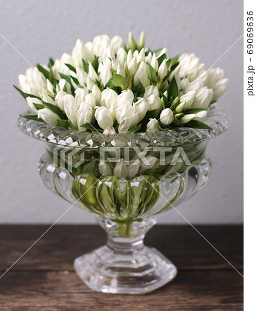 りんどう白の写真素材