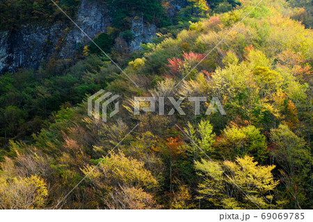 紅葉の迷滝(奈良県五條市) 紅葉の迷滝(奈良県五條市) 69069785