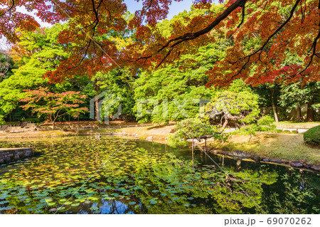東京都 小石川後楽園 紅葉と雪吊松の写真素材