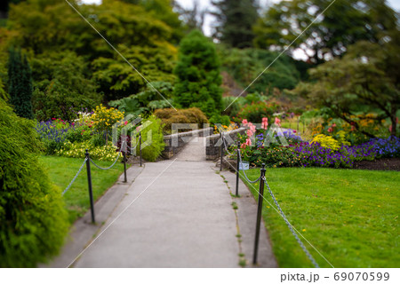 ティルトレンズを使いガ－デンをジオラマ風に写した写真　バンクーバー　ブリティッシュコロンビア　カナダ 69070599