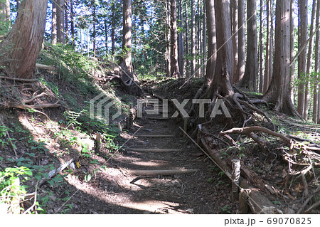 登山道 大倉尾根 登山道 大倉尾根 69070825