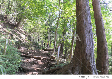 登山道　大倉尾根 69070870