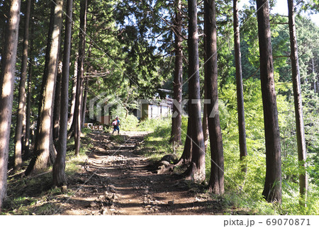 登山道　大倉尾根 69070871