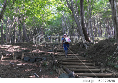 登山道 大倉尾根 登山道 大倉尾根 69070890