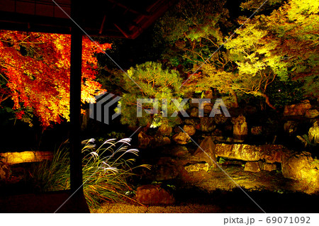 【京都】圓徳院 秋の夜間特別拝観 紅葉ライトアップされた北庭 【京都】圓徳院 秋の夜間特別拝観 紅葉ライトアップされた北庭 69071092
