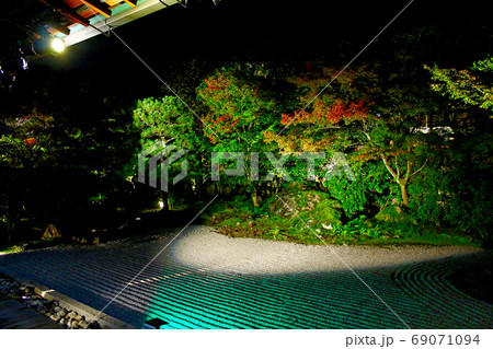 【京都】圓徳院　秋の夜間特別拝観　方丈からライトアップされた南庭を望む 69071094