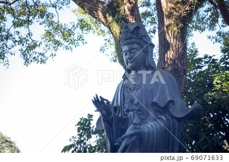 仏像 仏様 釈迦像 69071633