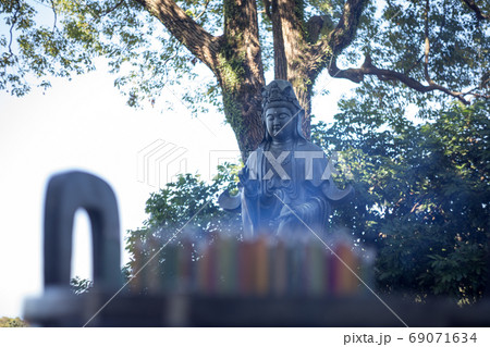 仏像 仏様 釈迦像 69071634