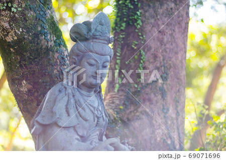 仏像 仏様 釈迦像 69071696