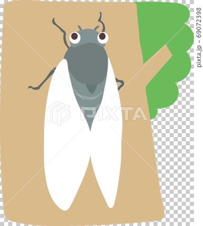 Cicadas Cicadas 69072398