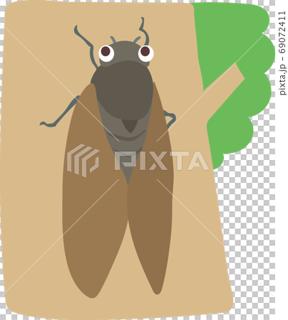 あぶらぜみ 69072411