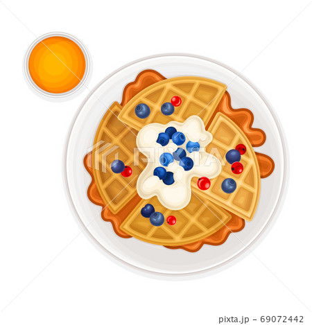 Waffles with Textured Surface and Berries Above View Vector Illustration Waffles with Textured Surface and Berries Above View Vector Illustration 69072442