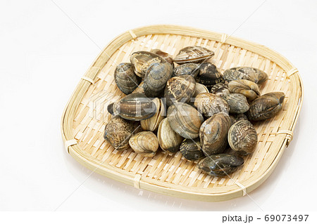 ざるに乗せたアサリ ざるに乗せたアサリ 69073497