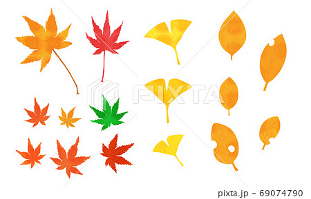 秋に紅葉した楓とイチョウと広葉樹の葉のイラスト素材 秋に紅葉した楓とイチョウと広葉樹の葉のイラスト素材