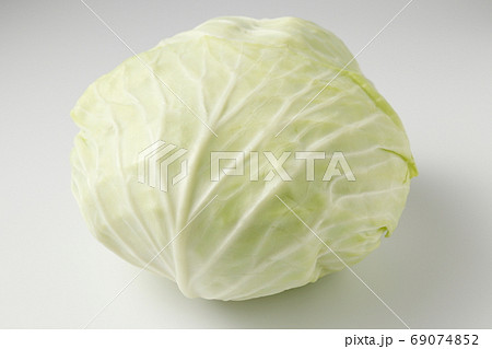 キャベツ 69074852