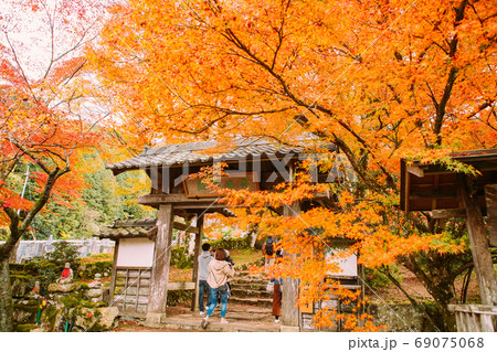 兵庫県丹波市の高源寺の紅葉 兵庫県丹波市の高源寺の紅葉 69075068