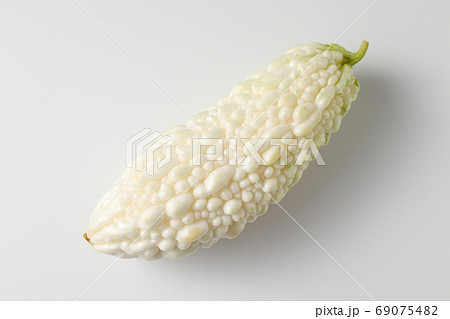 白ゴーヤの写真素材