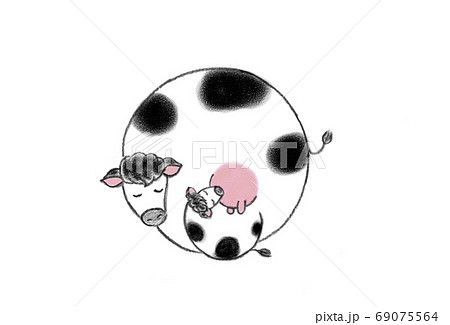 子牛に乳を飲ませている雌の牛 子牛に乳を飲ませている雌の牛 69075564