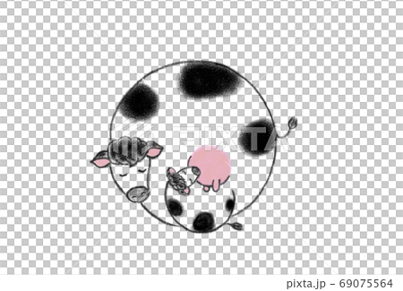 子牛に乳を飲ませている雌の牛 子牛に乳を飲ませている雌の牛 69075564