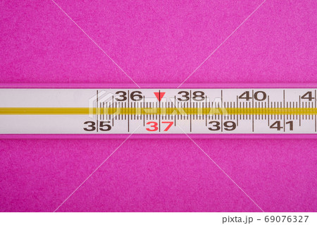 Analog thermometer on pink purple background Analog thermometer on pink purple background 69076327