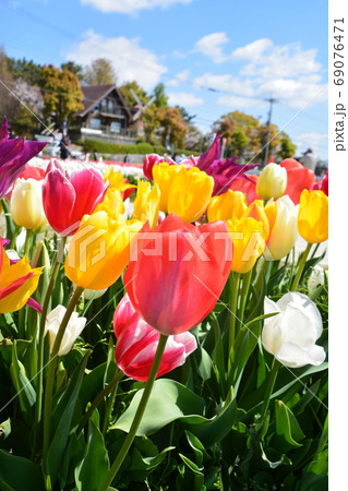 チューブ公園 縦 チューブ公園 縦 69076471