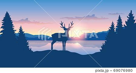 reindeer by the lake at sunrise wildlife nature landscape 69076980