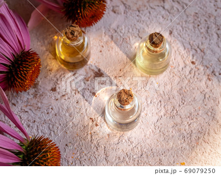 Bottles of echinacea essential oil with fresh echinacea Bottles of echinacea essential oil with fresh echinacea 69079250