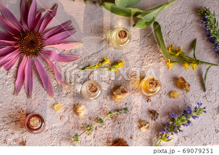 Bottles of essential oil with frankincense, hyssop, sage, echina Bottles of essential oil with frankincense, hyssop, sage, echina 69079251