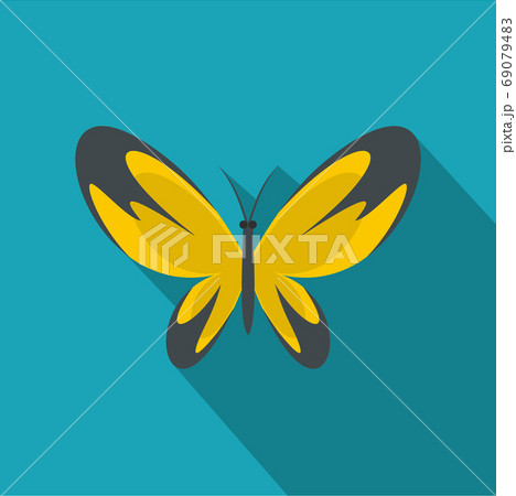 Wide wing butterfly icon, flat style. Wide wing butterfly icon, flat style. 69079483
