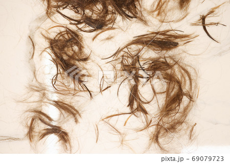Brown hair lies on white floor closeup 69079723