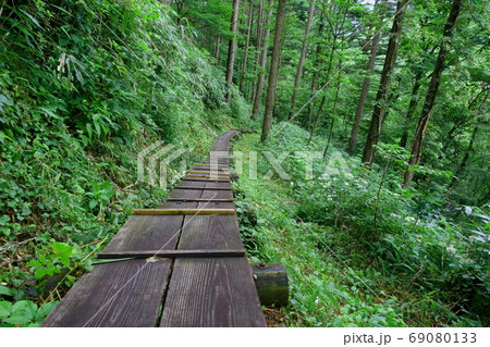 ヘブンスそのはら　いわなの森遊歩道 69080133