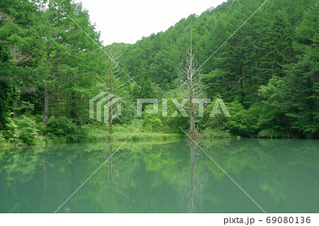 ヘブンスそのはら いわなの森遊歩道 ヘブンスそのはら いわなの森遊歩道 69080136