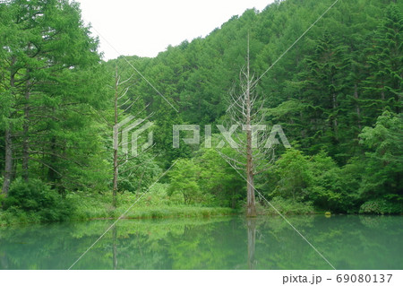 ヘブンスそのはら　いわなの森遊歩道 69080137