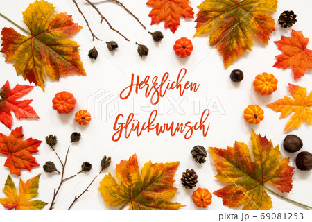 Colorful Autumn Leaf Decoration, Herzlichen Colorful Autumn Leaf Decoration, Herzlichen 69081253
