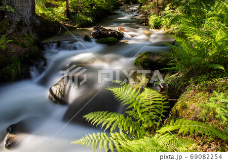beautiful background of flowing stream is green 69082254